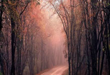 34分钟0比3!山东泰山被打花了,郑铮苦笑,王大雷让位于金永吧.