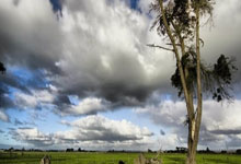 媒体人:没崩算侥幸,不明白伊万哪里来自信跟米卢保证能进世界杯.